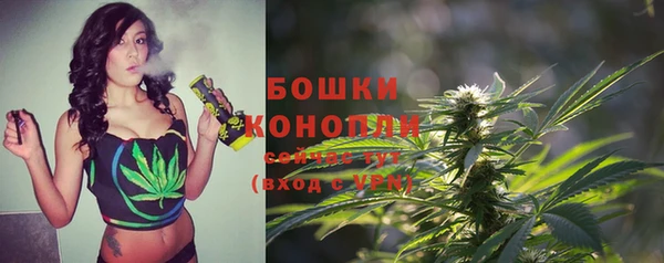 прущие крисы Беломорск